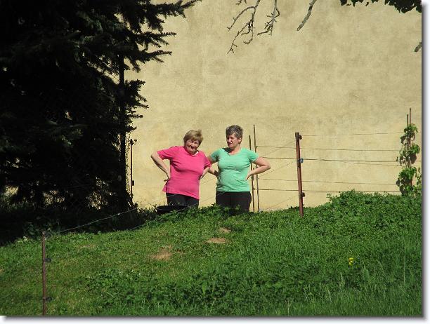Nächstes Bild
